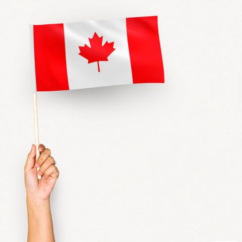 Citizenship applications