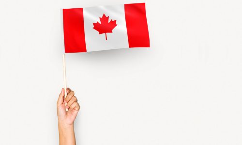 Citizenship applications